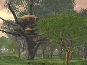 Harpy Village (Day).png