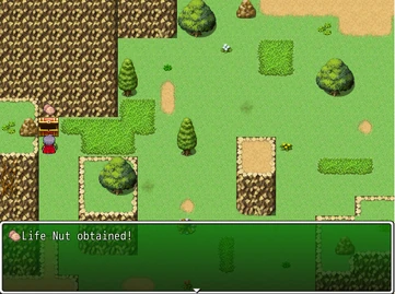 LifeNut Path to Lostrum 1F (Leaving Mountain Path).png