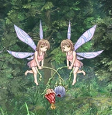 Twin Fairies