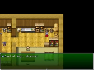 SeedofMagic Witchhunt Village Item Shop.png