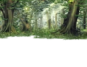 Forest1.png