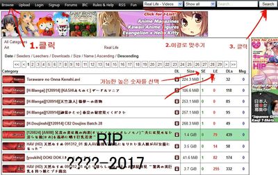 Nyaa-Torrents-disparition.jpg