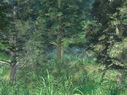 Bg061.png