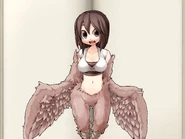 Harpyolder.png (648 KB) Harpyolder