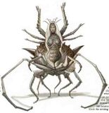 Lolth taking the form of a Drider (3e Deities and Demigods)