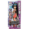 Cleo-Welcome-To-Monster-High-Fright-Away-Doll-2.jpg