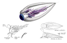 Concept art - Astranova original ship II