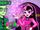 Draculaura Uses Magic To Find Answers!