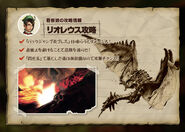 MH4-Rathalos Strategy