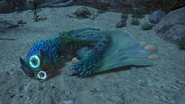 A sleeping Pukei-Pukei in the Sandy Plains