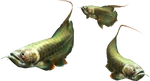 3rdGen-Fish Render 004
