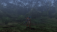 MHFU-Forest and Hills Screenshot 019