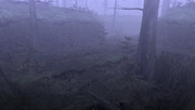 MHFU-Old Swamp Screenshot 002.png