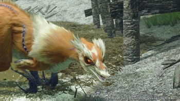 Broken Great Izuchi head