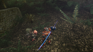 MHFU-Old Jungle Screenshot 020