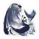 Aurora Somnacanth