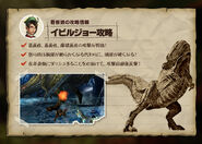 MH4-Deviljho Strategy