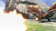 Rathalos fireball.