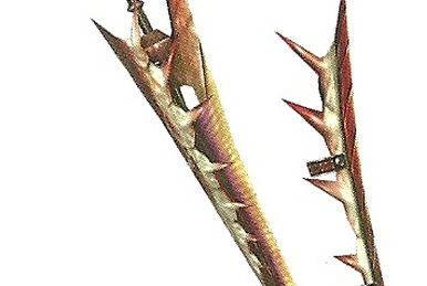 緋猛太刀【天啓】 (Frontier) | Monster Hunter Wiki | Fandom 緋猛太刀【天啓】 (Frontier) | Monster Hunter Wiki | Fandom