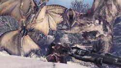 Pink Rathian Monster Hunter World Monster Hunter Wiki Fandom Pink Rathian Monster Hunter World Monster Hunter Wiki Fandom