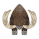 Popo