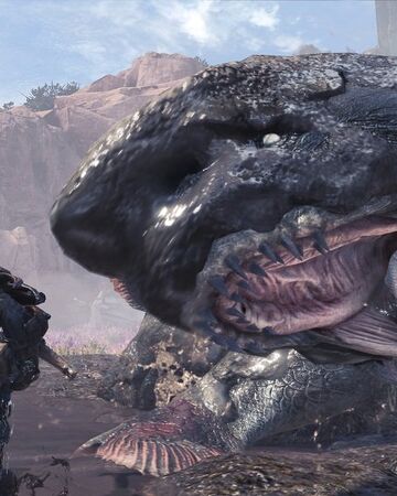 ジュラトドス Mhw モンハン完全攻略 Wiki Fandom