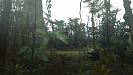 SecondGen-Old Jungle Background