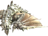 Origin Species