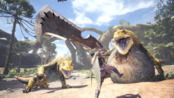 Great Jagras Monster Hunter Wiki Fandom