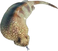 MHW-Tsuchinoko Render 001.png (157 KB) Tsuchinoko