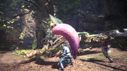 Pukei Pukei Monster Hunter Wiki Fandom Pukei Pukei Monster Hunter Wiki Fandom
