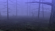 MHFU-Old Swamp Screenshot 005