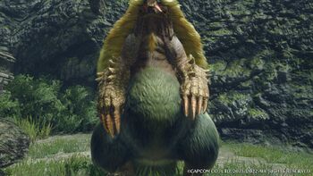 Arzuros, Monster Hunter Wiki