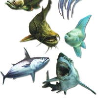 Monster fish hunter