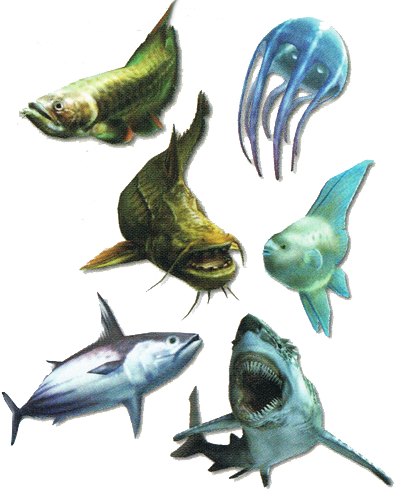 Fish Monsters - Fishing Planet Wiki