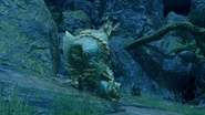 A Zinogre howling in the Shrine Ruins