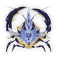 Shogun Ceanataur