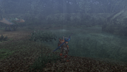 MHFU-Forest and Hills Screenshot 026