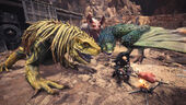 With Pukei-Pukei and Great Jagras