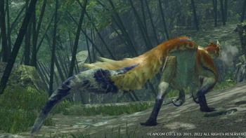 Broken Great Izuchi tail
