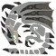 MHST2-Silver Rathalos Icon