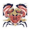 Daimyo Hermitaur