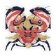 Daimyo Hermitaur