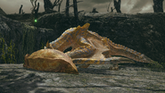 A Tigrex eating a Slagtoth which it just hunted