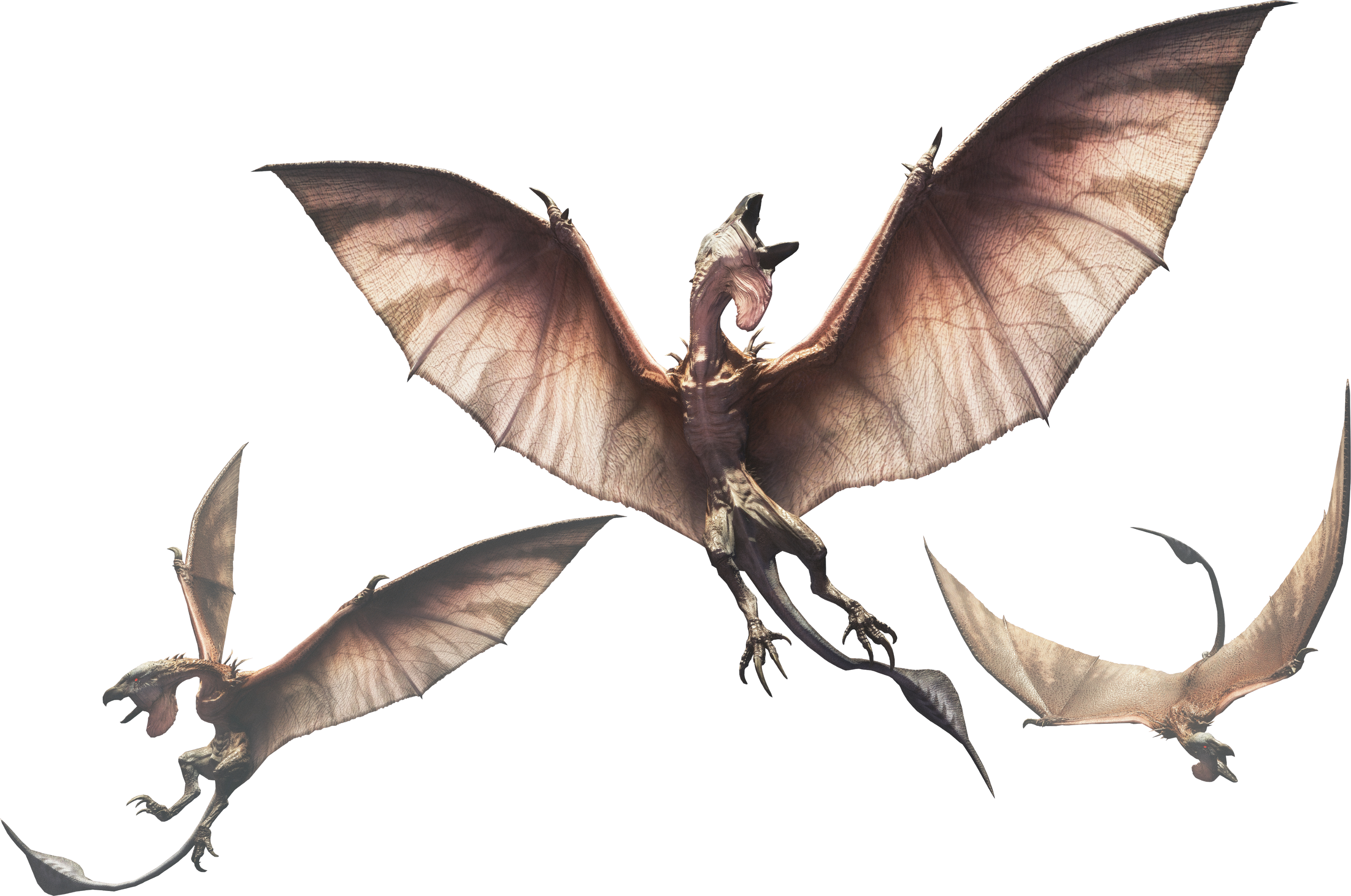 Featured image of post Monster Hunter Wingdrake Hide This material can be obtained by completing quests or defeating monsters