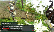 MHGen-Pokke Village Screenshot 008