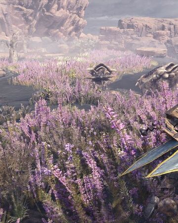 大蟻塚の荒地 Mhw モンハン完全攻略 Wiki Fandom