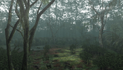 MHFU-Forest and Hills Screenshot 056.png