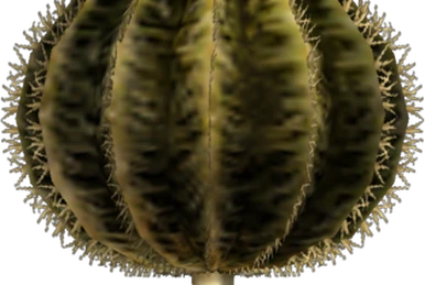 Cactus Creamer | Monster Hunter Wiki | Fandom