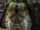 MH3-Rathian-f.png